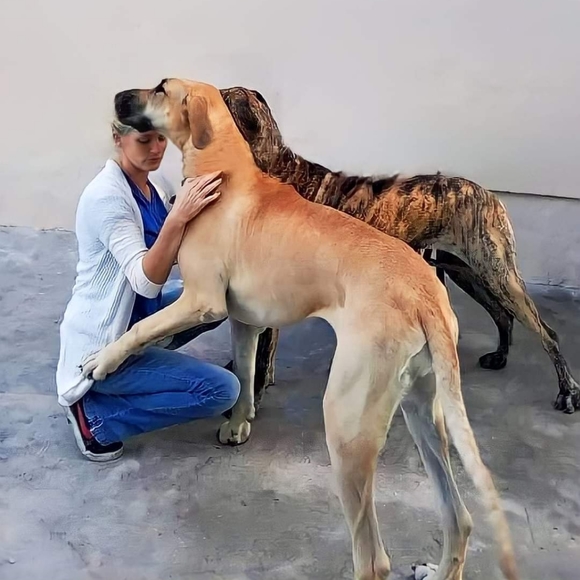 Meet your Posher, Bryn - Picture 11 of 17